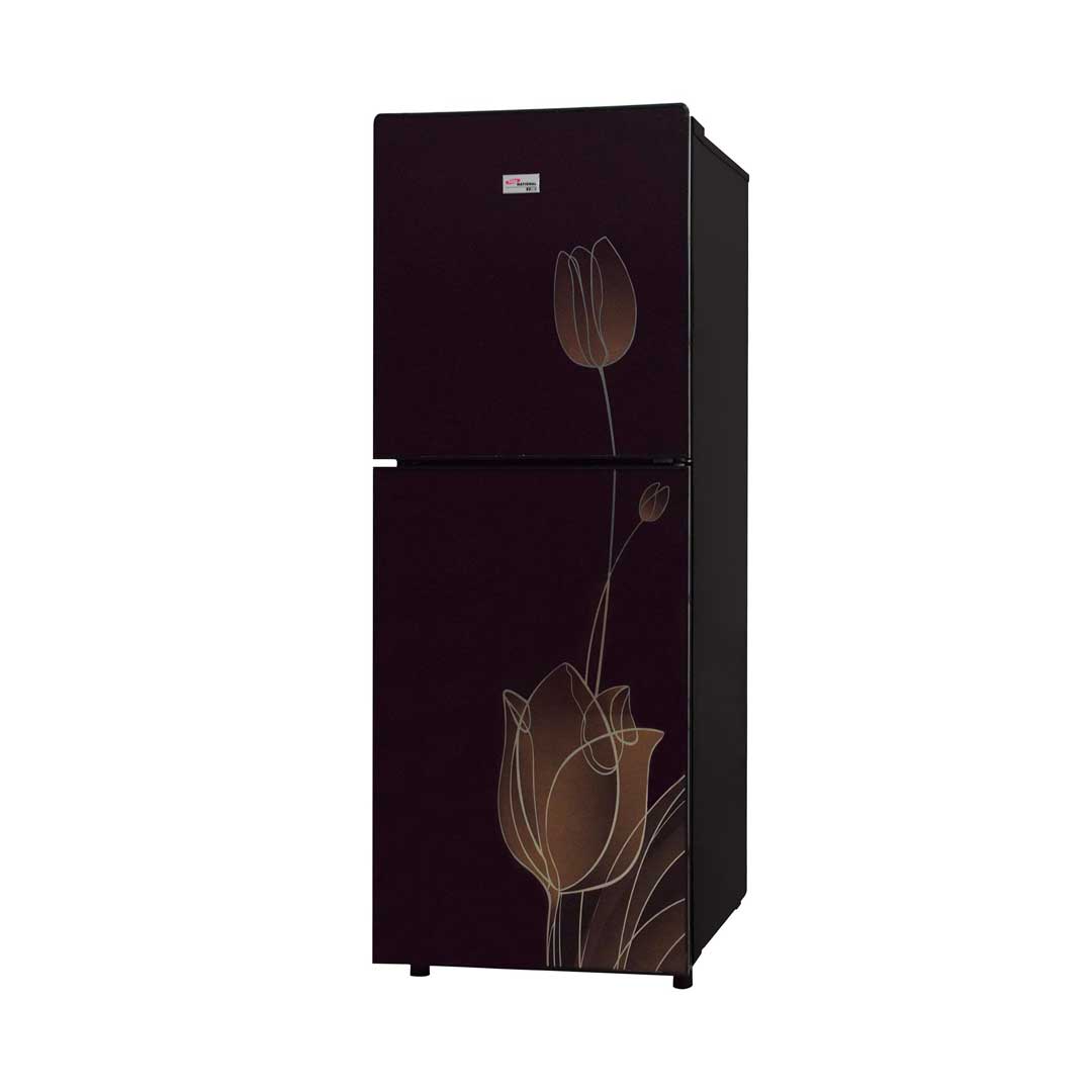 GNR-1711 G.D Buy Double Door Refrigerator